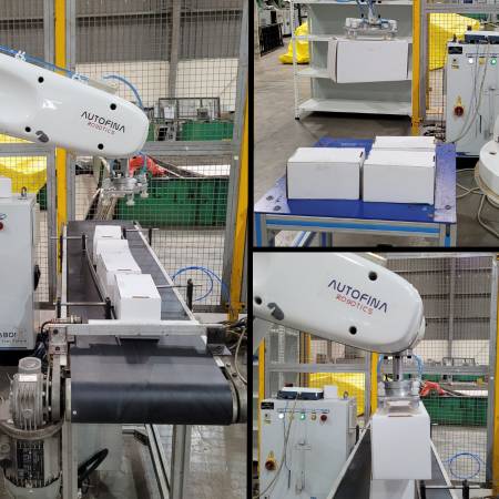 Palletizing Industrial Robotic Application